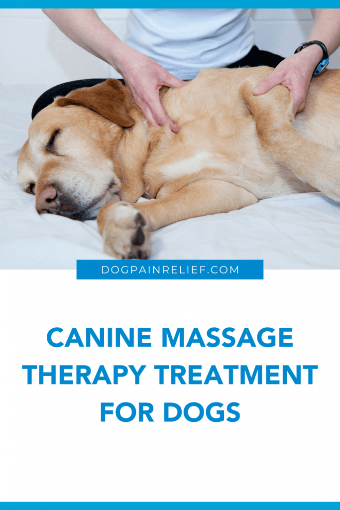 Canine Massage Therapy Treatment For Dogs | Center for Dog Pain Relief